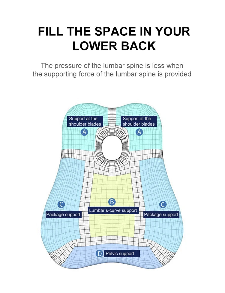 Ergonomisch Rugkussen